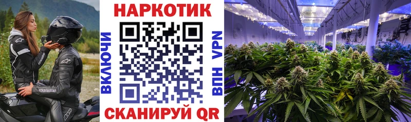 Где можно купить наркотики Нягань А ПВП  Cocaine  Метамфетамин  Псилоцибиновые грибы  Конопля  Мефедрон  Гашиш 