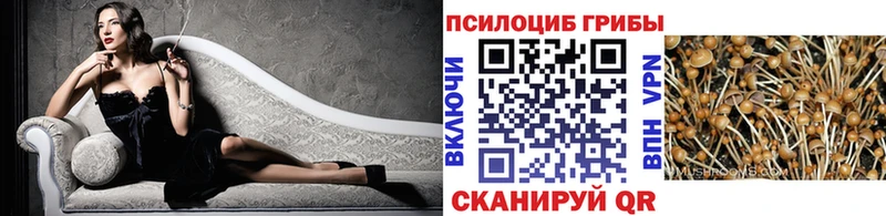магазин продажи наркотиков МЕГА tor Псилоцибиновые грибы мицелий Нягань