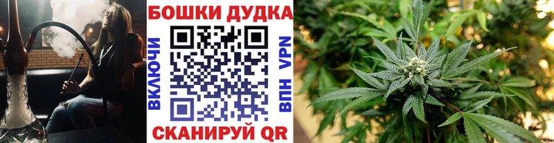 как найти наркотики Нягань Бошки марихуана индика